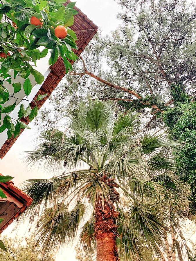 Hotel Villa Anais (Adults Only) พริโนส ภายนอก รูปภาพ